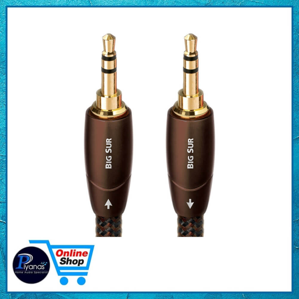 สายสัญญาณอนาล็อก AUDIOQUEST : BIG SUR (MINI TO MINI) (2.0M)